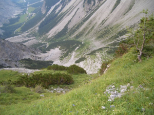 Binsalm Silberregion Karwendel