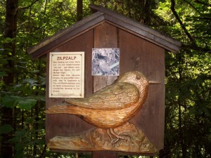 Schleierwasserfall Vogellehrpfad